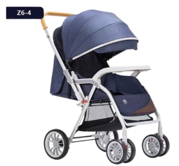 COCHE PASEADOR Z6-5